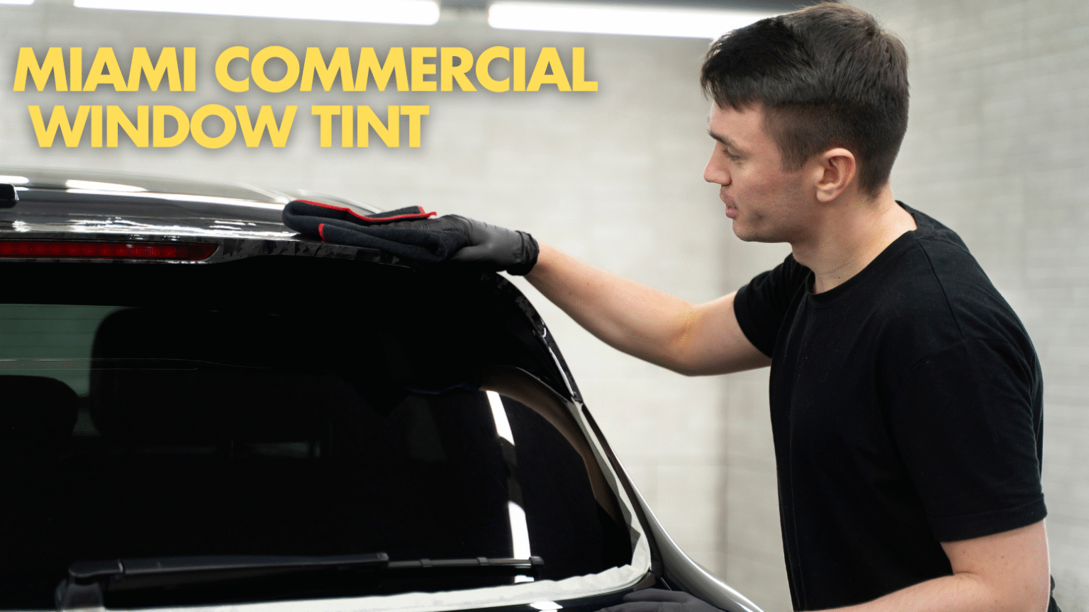 Miami Window Back MIAMI window tint - Auditions Database